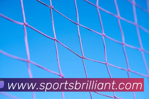 体育下注平台生态图