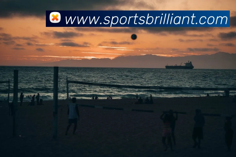 体育下注全站App